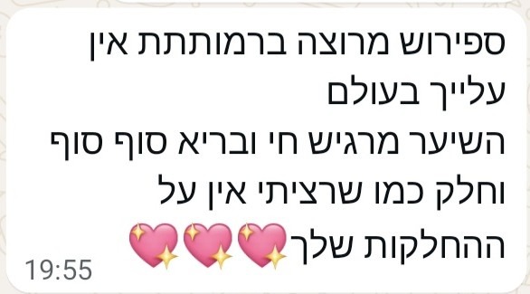 המלצה 1