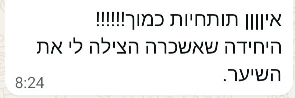 המלצה 3